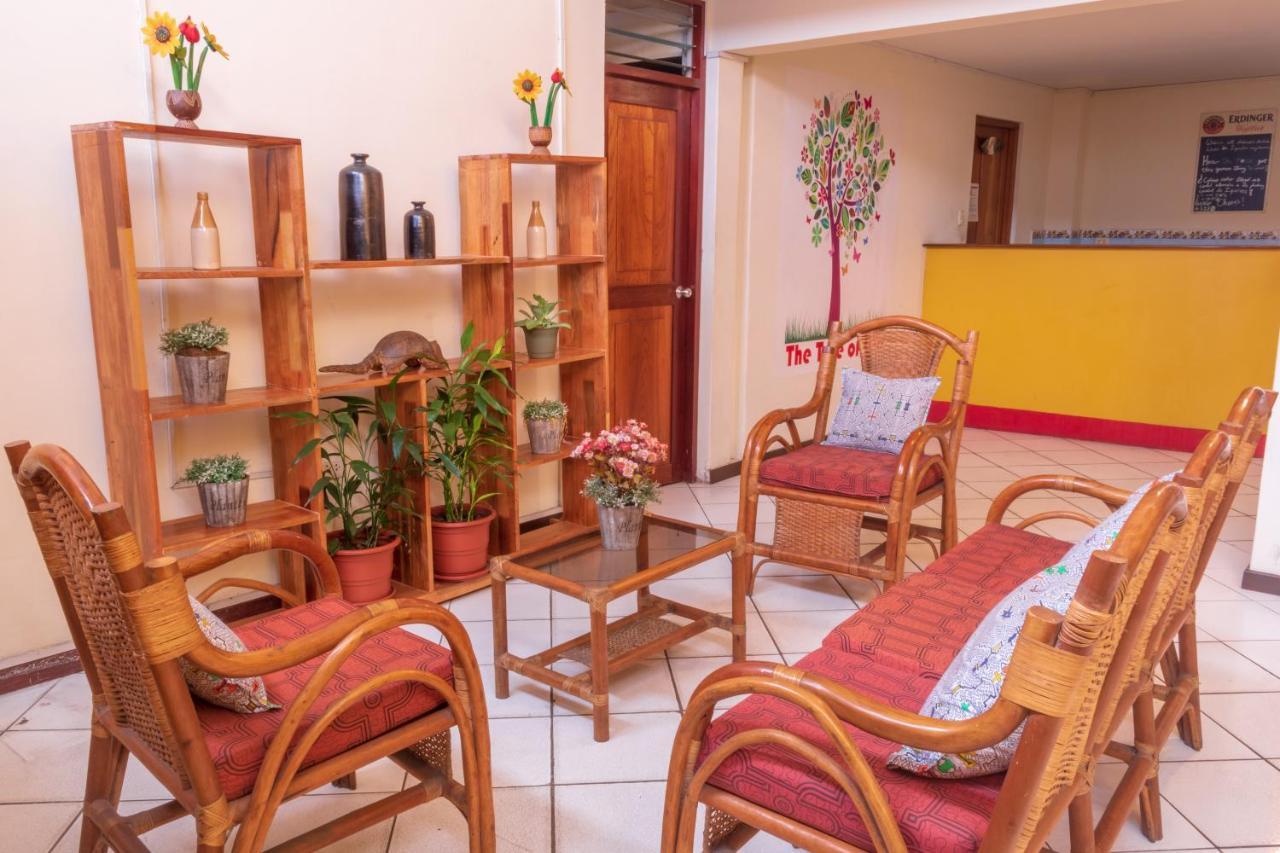 Flying Dog Hostel Iquitos Dış mekan fotoğraf